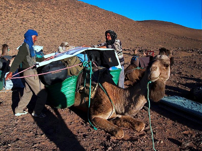 maroc_2012-100.jpg